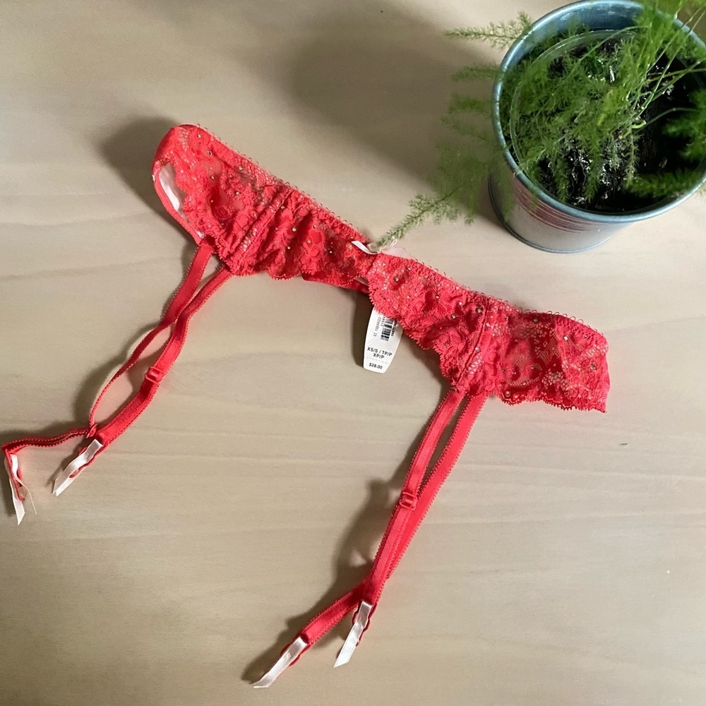 NWT VICTORIA’S SECRET Pink Sequin Lace Garter
